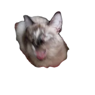 Sticker Перфоратор - 2