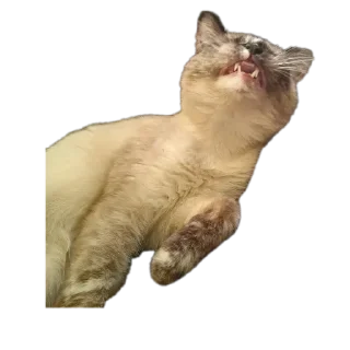 Sticker Перфоратор - 5