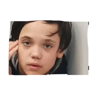 Sticker Perhe🦕 - 11