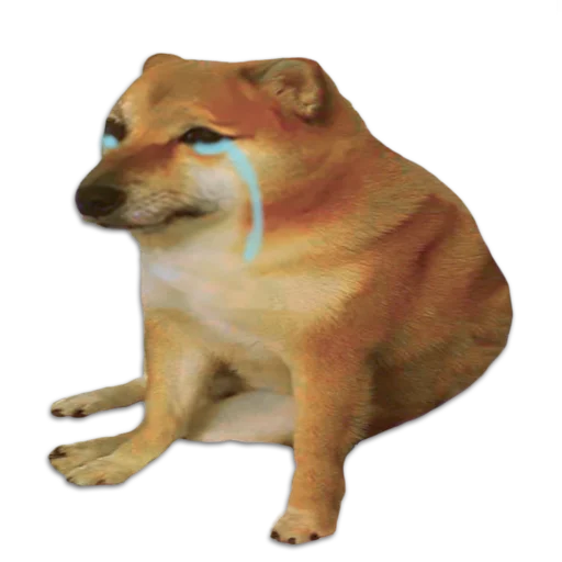 животное млекопитающее домашнее животное