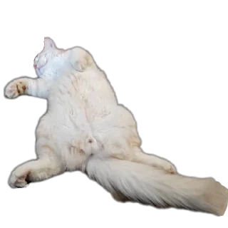 Стикер Персик - 8