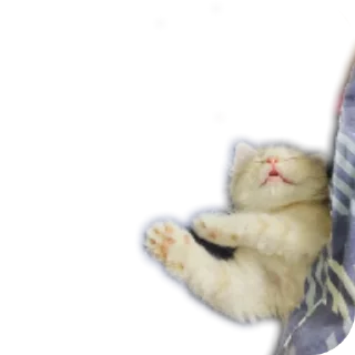 Стикер Персик - 5