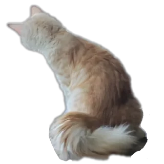 Стикер Персик - 4