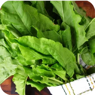 Стикер Щавель, Персик и их друзья  😂😂😂 свинстрой топ🤣🤣🤣 - 8