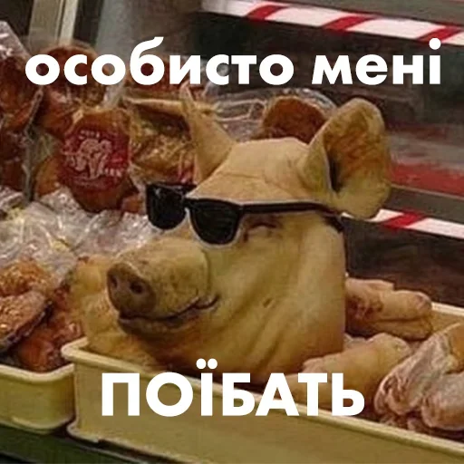 text fast food snack