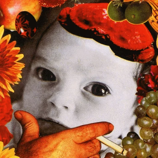 Sticker PeterKing's keks and feks - 1