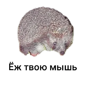 Стикер Петербургский рыболов - 2