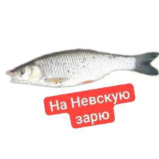 Стикер Петербургский рыболов - 8