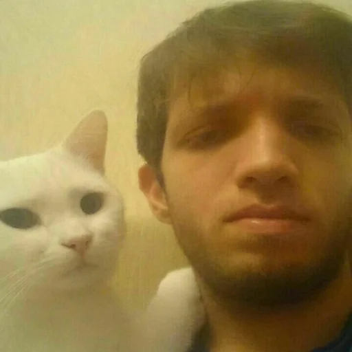 Стикер PETRO SOKRAT - 1