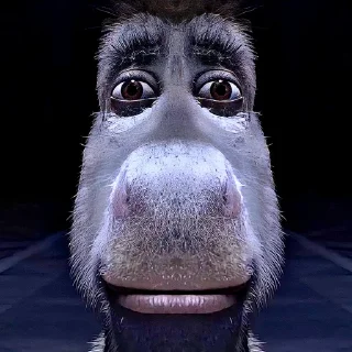 Стикер Petrvs Avgvstvs - 9