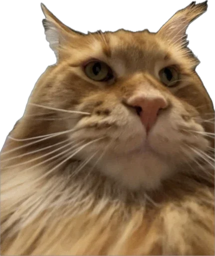 Жмых @TgEmodziBot - 