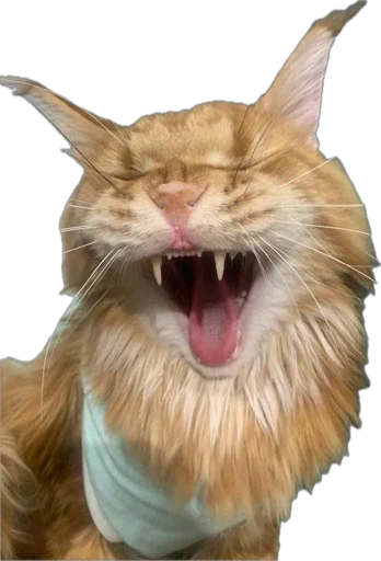 Sticker Petslott_by_TgEmodziBot - 1