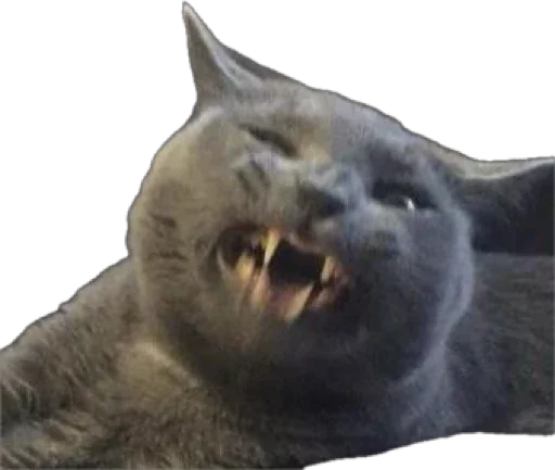 Sticker Petslott_by_TgEmodziBot - 1