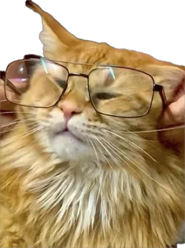 Стикер Petslott_by_TgEmodziBot - 1