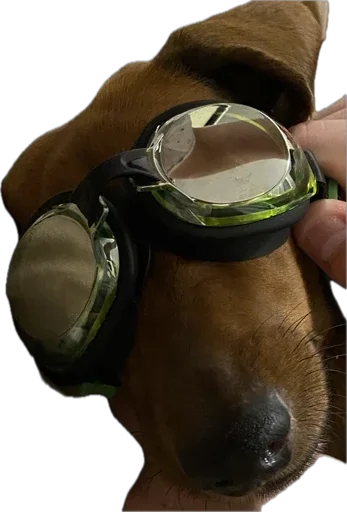 Sticker Petslott_by_TgEmodziBot - 1