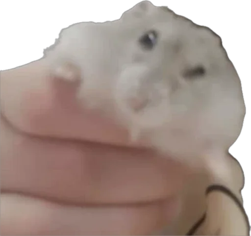 Sticker Petslott_by_TgEmodziBot - 1