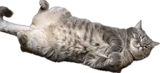 Стикер Жмых @TgEmodziBot - 2