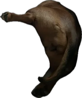 Стикер Жмых @TgEmodziBot - 8