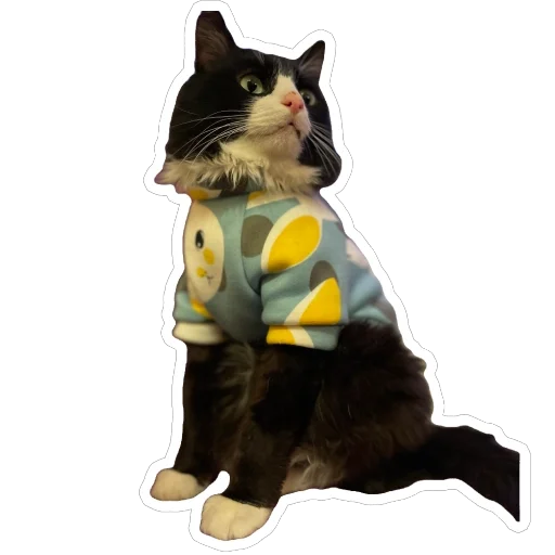 Стикер PetunecKoshka - 1