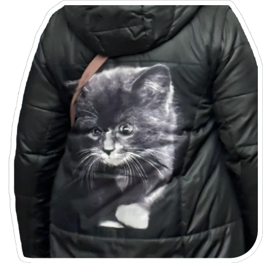 Sticker PetunecKoshka - 1