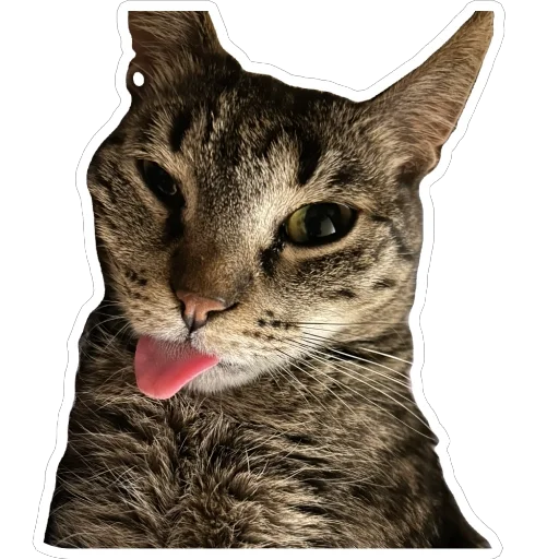 Sticker PetunecKoshka - 1