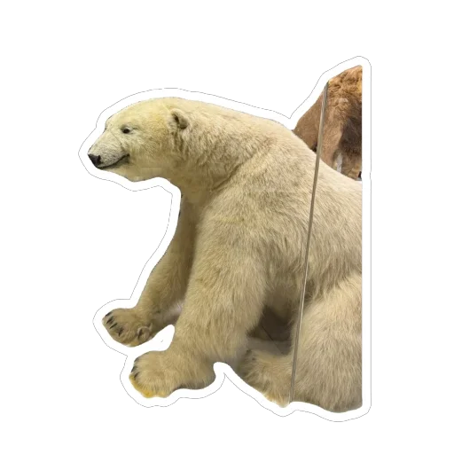 Sticker PetunecKoshka - 1