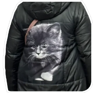 Sticker Petunec & Koshka - 8