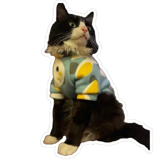 Sticker Petunec & Koshka - 10