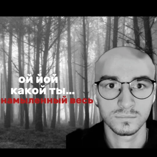 Sticker Petystop - 1