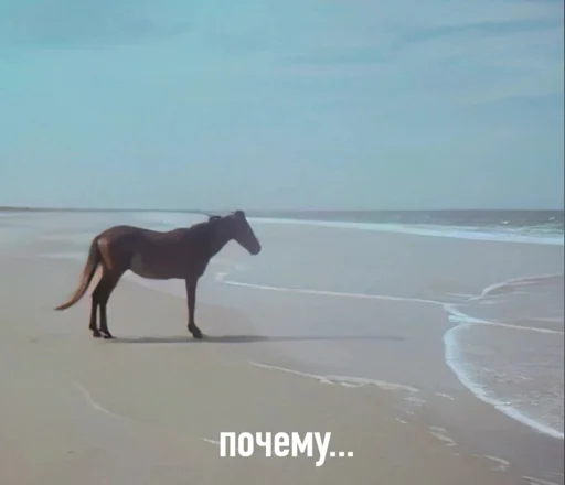 Sticker Pezdec14 - 1