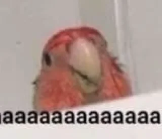 Sticker Пездец - 8