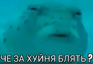 Sticker Пездец - 1