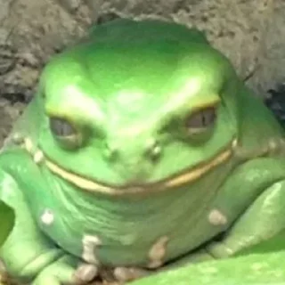 Sticker Пэжуль-Мэжуль - 3