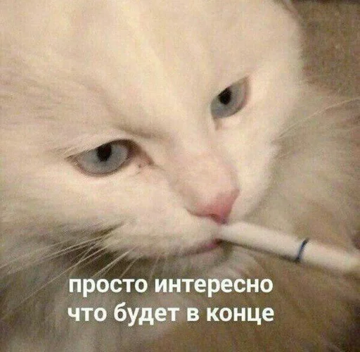 2.1 by @fStikBot - мультфильм