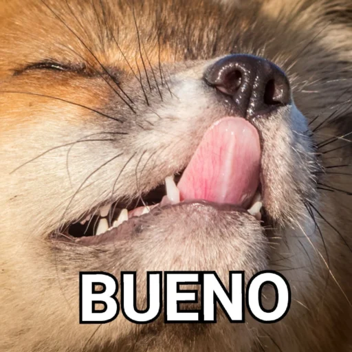 животное млекопитающее мех