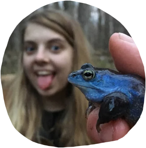 Стикер Phalacrociraxxx - 1