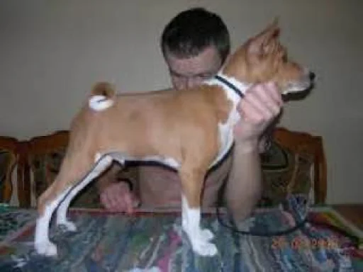 Sticker PharaohSog_by_TgEmodziBot - 1