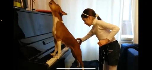 Стикер PharaohSog_by_TgEmodziBot - 1