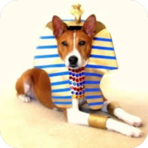 Стикер PharaohSog_by_TgEmodziBot - 1