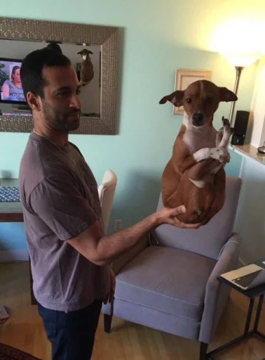 Sticker PharaohSog_by_TgEmodziBot - 1