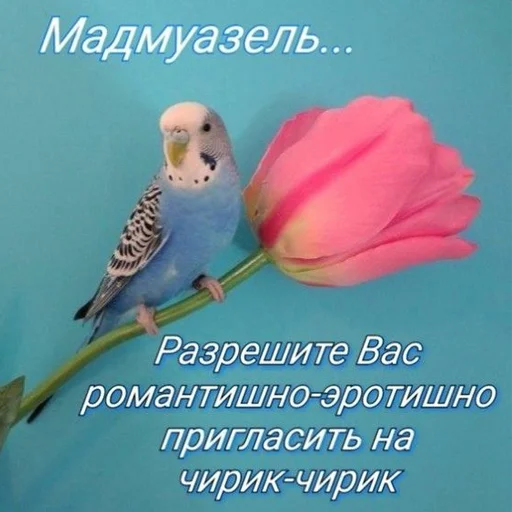 Sticker Фосфорный Страж - 10