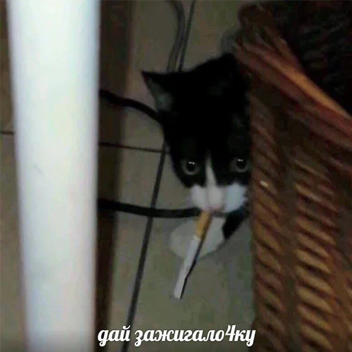 Sticker Фосфорный Страж - 1