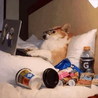 Sticker Dog @elias_heydari - 0