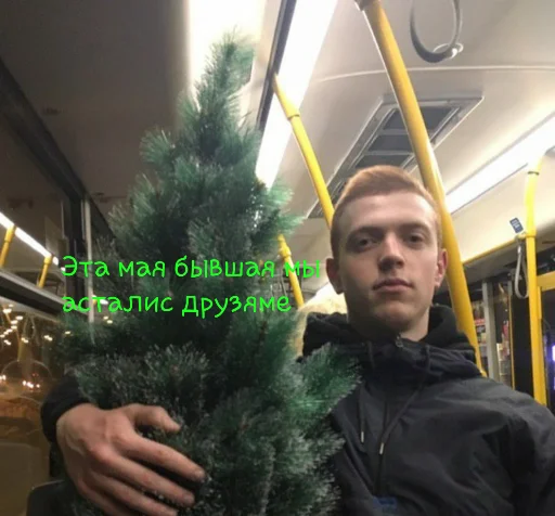 Елку Человек человеческое лицо