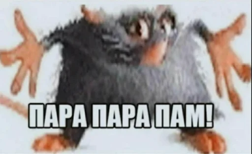 СМС млекопитающее животное