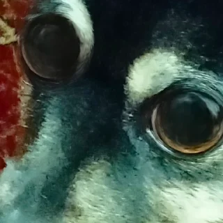 Sticker -Трэш полный🕊️. - 9