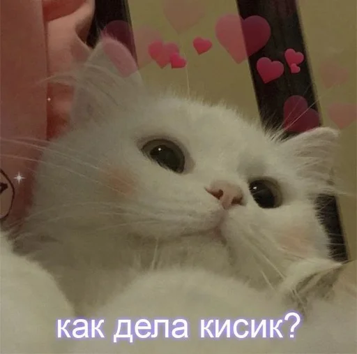 Sticker Больше пикч тут👉  @nikopiccs - 11