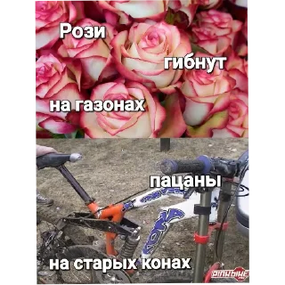 Стикер Пидераст - 2