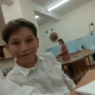 Sticker Пидлик - 2