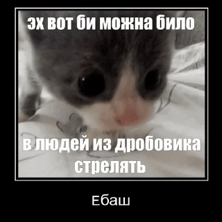 Sticker Дрысня пиздаволосая by @makkimous - 2